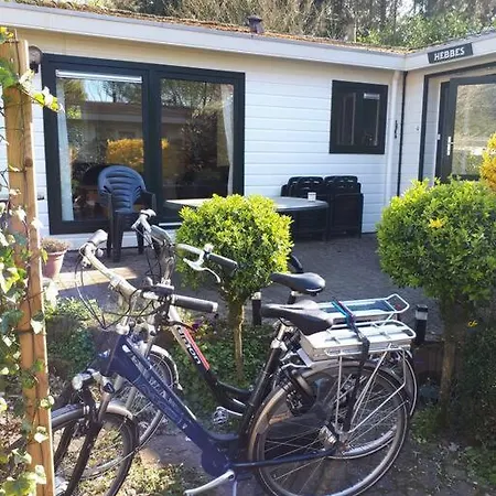 Forest Even Lekker Weg.