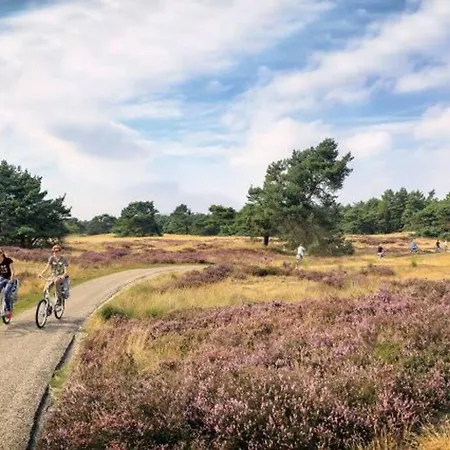 샬레 Forest Even Lekker Weg.