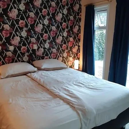 Forest Even Lekker Weg. 샬레