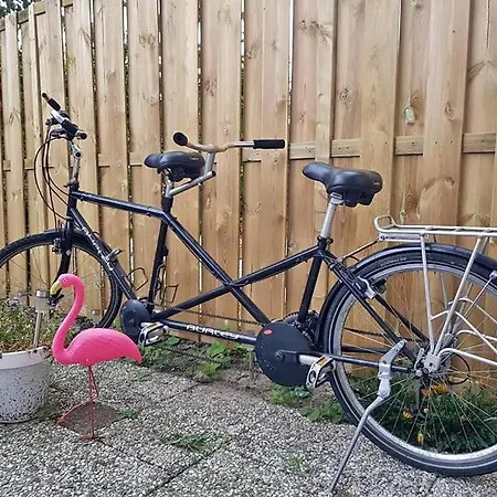 Forest Even Lekker Weg. 푸텐