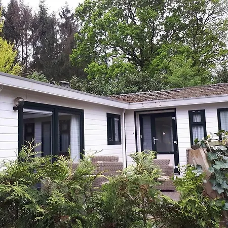 Forest Even Lekker Weg.