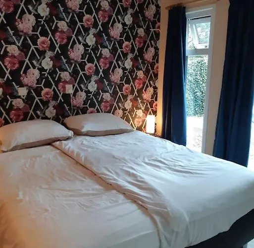 Forest Even Lekker Weg. Dağ evi