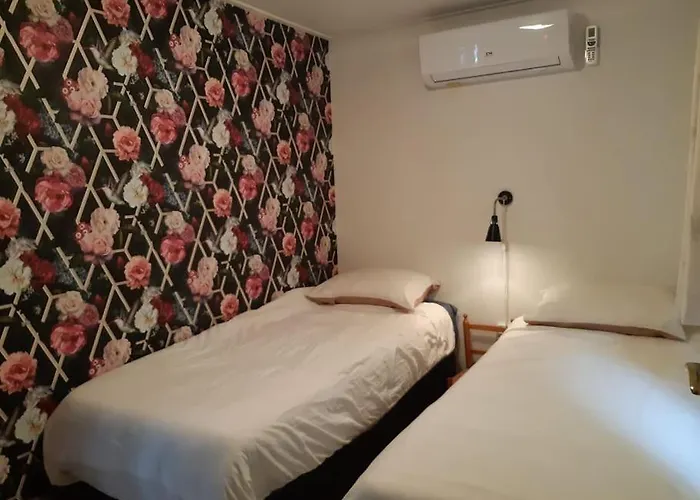 Forest Even Lekker Weg. *