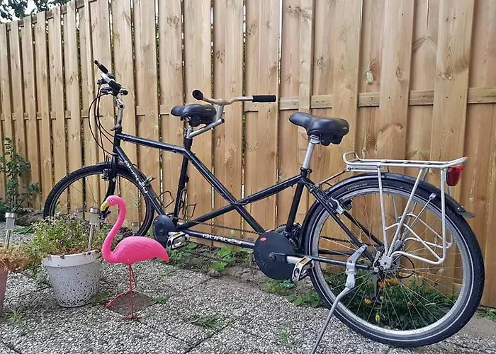 Forest Even Lekker Weg. Пюттен