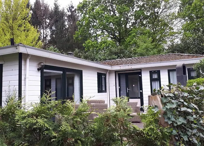 Forest Even Lekker Weg.